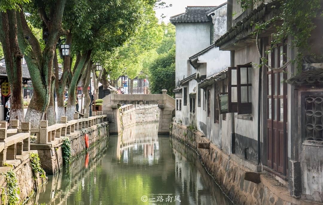 春节档谁能成黑马？业内人士预测赵丽颖新片脱颖而出